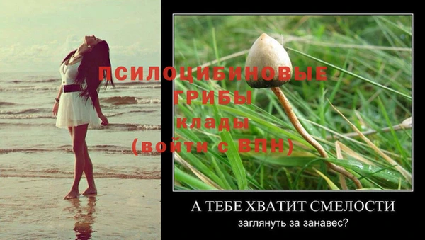 герыч Михайлов
