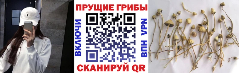Псилоцибиновые грибы MAGIC MUSHROOMS  МЕГА зеркало  Агрыз 